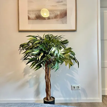 Lägenhet Erholsame City-erdgeschosswohnung Mit Veranda, Grill Und Parkplatz D46eg Oldenburg